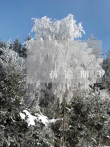 有逾期3能办信用卡吗 有逾期3能办信用卡吗