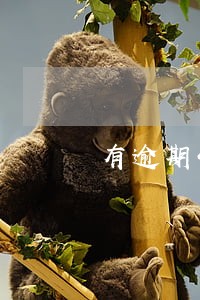 有逾期4s店分期 有逾期4s店分期