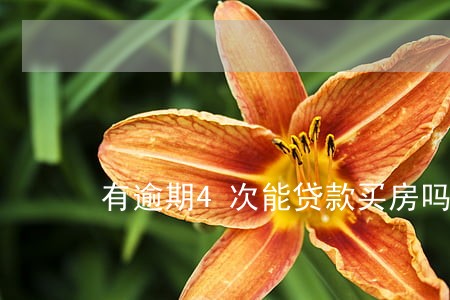 有逾期4次能贷款买房吗 有逾期4次能贷款买房吗