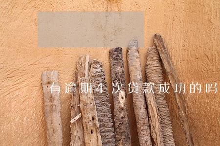 有逾期4次贷款成功的吗 有逾期4次贷款成功的吗