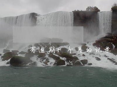 有逾期5个月的记录 有逾期5个月的记录
