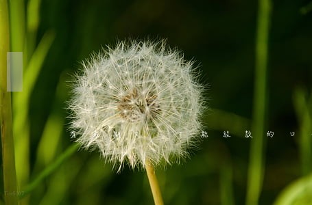 有逾期714能放款的口子 有逾期714能放款的口子