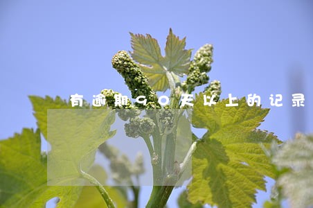 有逾期90天以上的记录怎么办 有逾期90天以上的记录怎么办