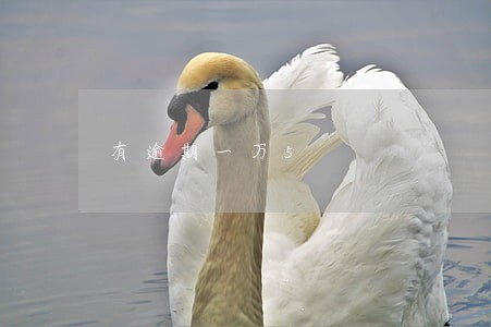 有逾期一万5