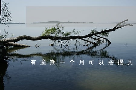 有逾期一个月可以按揭买车吗 有逾期一个月可以按揭买车吗