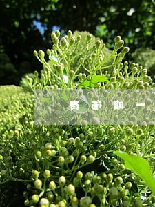 有逾期一个月的能清除征信吗 有逾期一个月的能清除征信吗