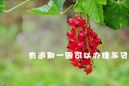 有逾期一周可以办理车贷吗 有逾期一周可以办理车贷吗
