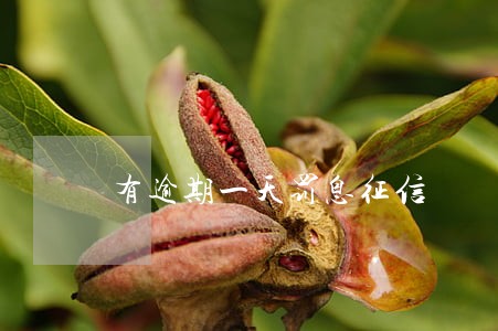 有逾期一天罚息征信 有逾期一天罚息征信