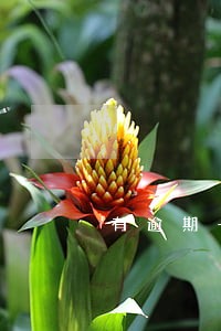有逾期一年以上买车 有逾期一年以上买车