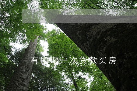 有逾期一次贷款买房
