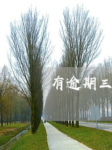 有逾期三个月判刑的吗