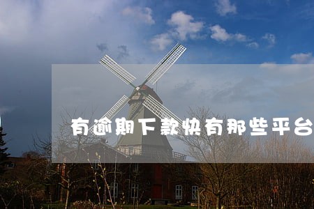 有逾期下款快有那些平台呀 有逾期下款快有那些平台呀