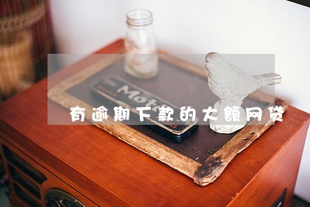 有逾期下款的大额网贷 有逾期下款的大额网贷