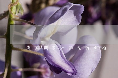 有逾期不上征信的平台 有逾期不上征信的平台