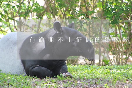 有逾期不上征信的贷款吗 有逾期不上征信的贷款吗