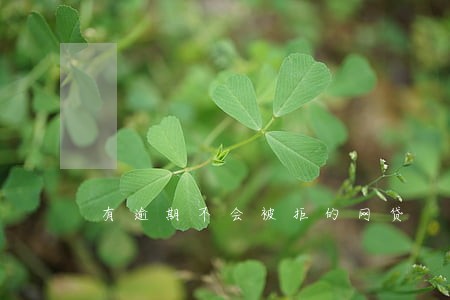 有逾期不会被拒的网贷