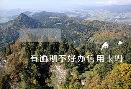有逾期不好办信用卡吗 有逾期不好办信用卡吗
