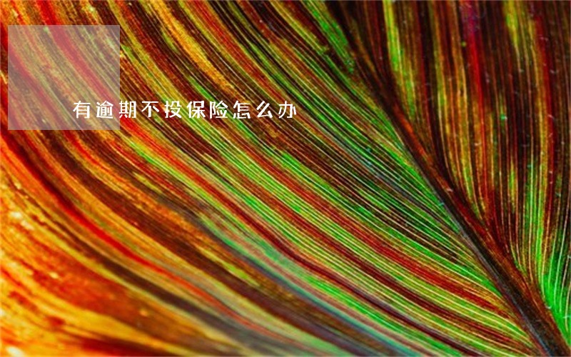 有逾期不投保险怎么办 有逾期不投保险怎么办