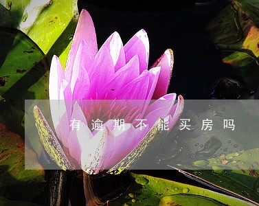 有逾期不能买房吗 有逾期不能买房吗