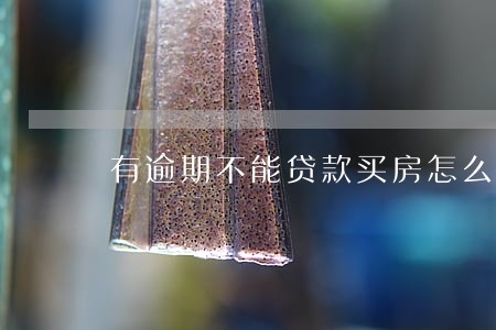 有逾期不能贷款买房怎么办 有逾期不能贷款买房怎么办