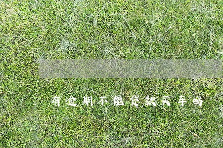 有逾期不能贷款买车吗 有逾期不能贷款买车吗