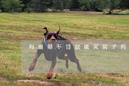 有逾期不贷款能买房子吗 有逾期不贷款能买房子吗