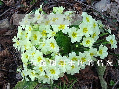 有逾期且未还的情况下可以下款 有逾期且未还的情况下可以下款