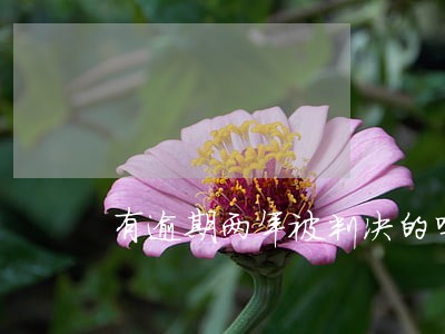 有逾期两年被判决的吗 有逾期两年被判决的吗
