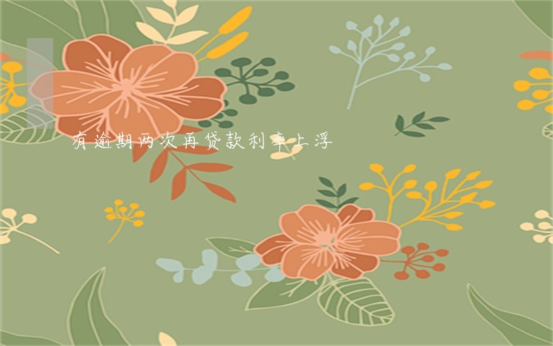 有逾期两次再贷款利率上浮 有逾期两次再贷款利率上浮