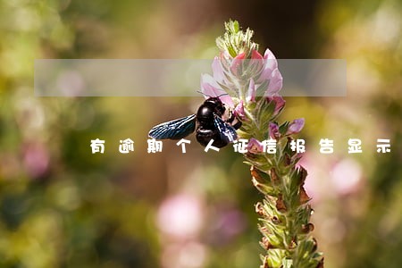 有逾期个人征信报告显示吗 有逾期个人征信报告显示吗