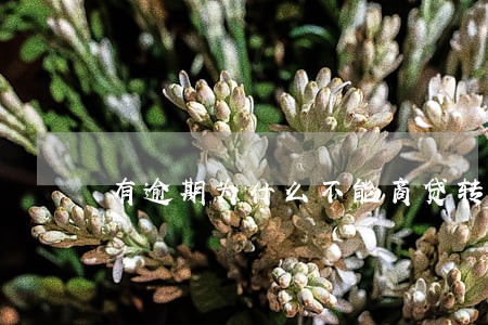 有逾期为什么不能商贷转公积金 有逾期为什么不能商贷转公积金