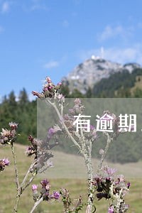 有逾期之后5年还能申请信用卡 有逾期之后5年还能申请信用卡