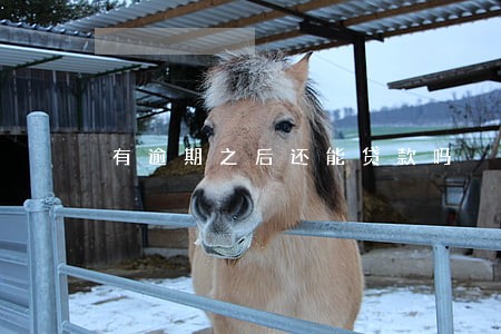 有逾期之后还能贷款吗 有逾期之后还能贷款吗