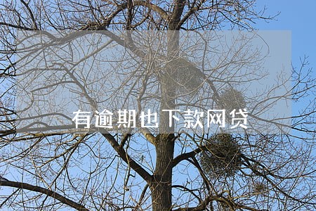 有逾期也下款网贷 有逾期也下款网贷