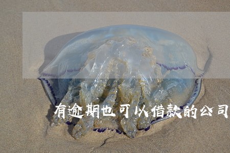 有逾期也可以借款的公司 有逾期也可以借款的公司