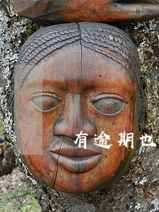有逾期也能下信用卡吗