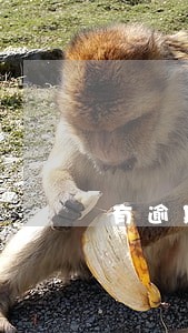 有逾期也能下卡的信用卡 有逾期也能下卡的信用卡