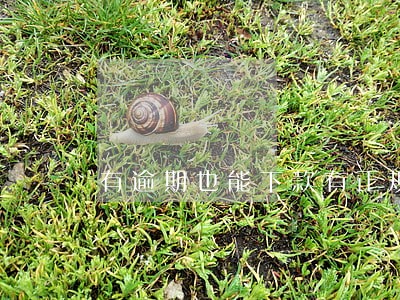 有逾期也能下款有正规网贷 有逾期也能下款有正规网贷