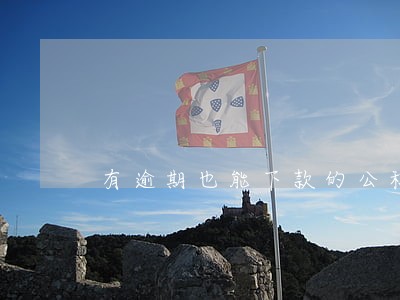有逾期也能下款的公积金网贷 有逾期也能下款的公积金网贷