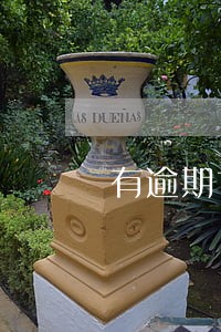 有逾期也能下款的大额网贷 有逾期也能下款的大额网贷