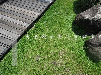 有逾期也能下款的房贷吗 有逾期也能下款的房贷吗