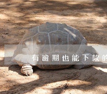 有逾期也能下款的正规的网贷