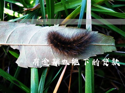 有逾期也能下的贷款 有逾期也能下的贷款
