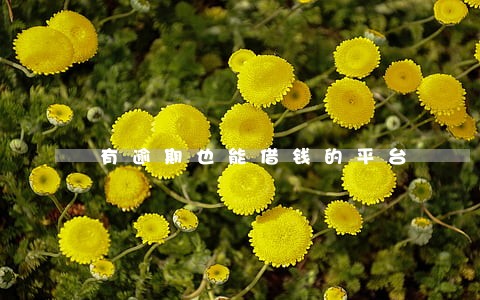 有逾期也能借钱的平台 有逾期也能借钱的平台