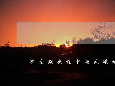 有逾期也能申请花呗吗 有逾期也能申请花呗吗