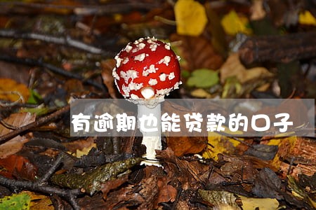 有逾期也能贷款的口子 有逾期也能贷款的口子