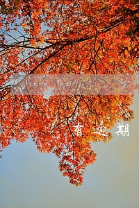 有逾期买房只能买二手房 有逾期买房只能买二手房