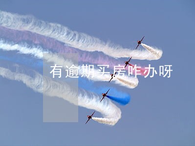 有逾期买房咋办呀 有逾期买房咋办呀
