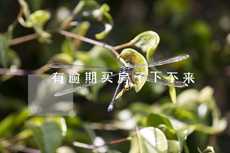 有逾期买房子下不来 有逾期买房子下不来