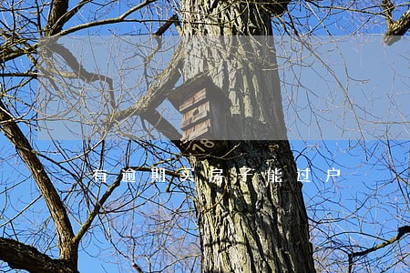 有逾期买房子能过户 有逾期买房子能过户